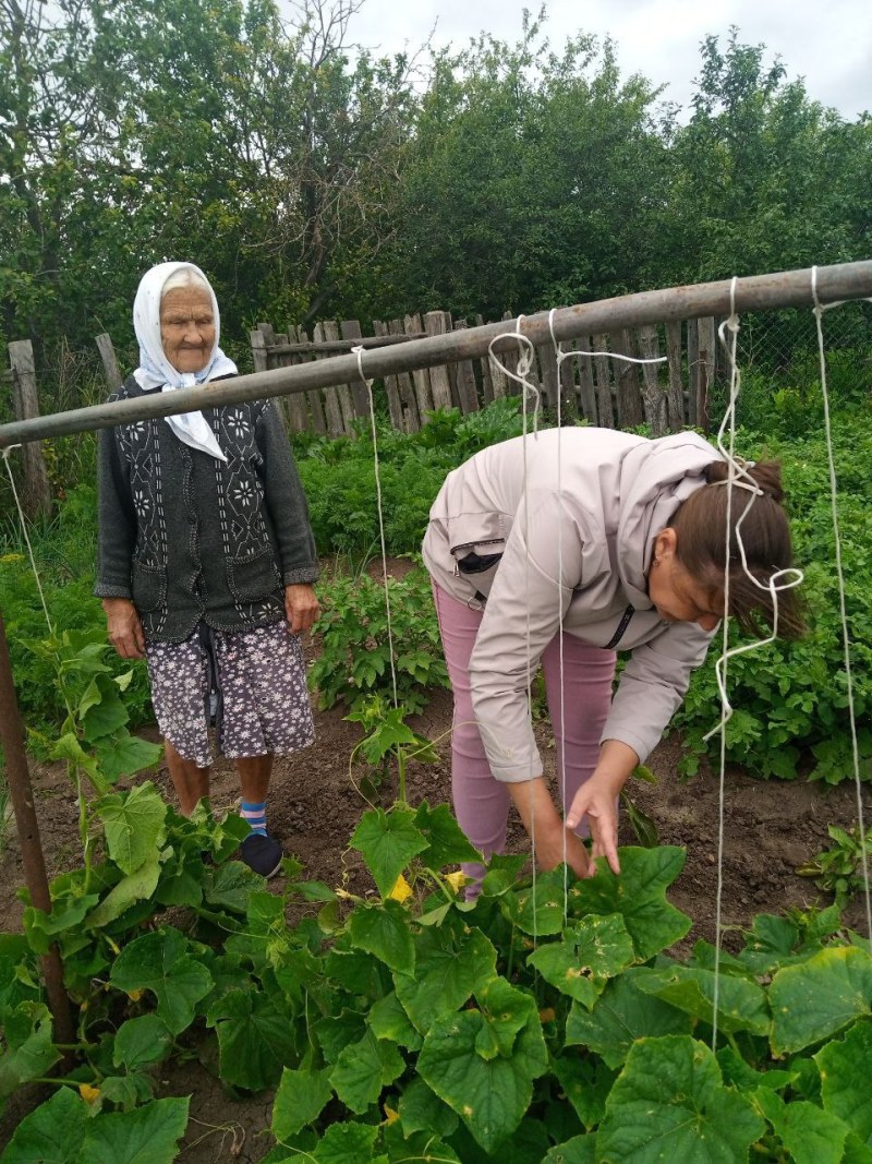 Специалист по социальной работе оказала помощь ветерану ВОВ по сбору ягод и овощей