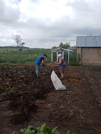 Социальные работники помогают в сборе урожая получателям социальных услуг